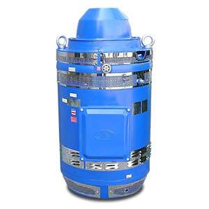 46WP1HS200SE - Standard Efficiency Vertical Pump Motor